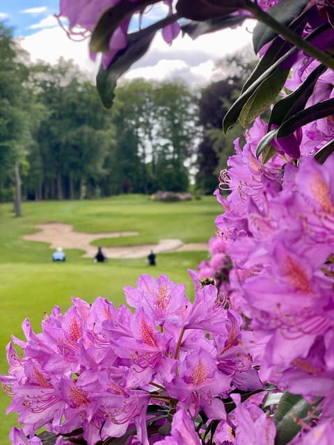 2026-05-18 Golf Club 7 Fontaines - Palidero